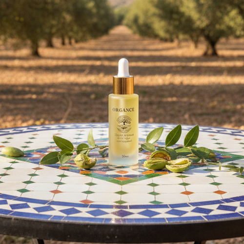 envato labs image edit 16 e17608718056491